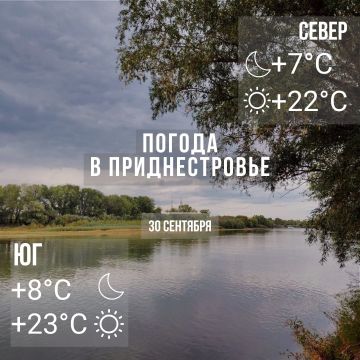 Днём – до +23°С, без осадков