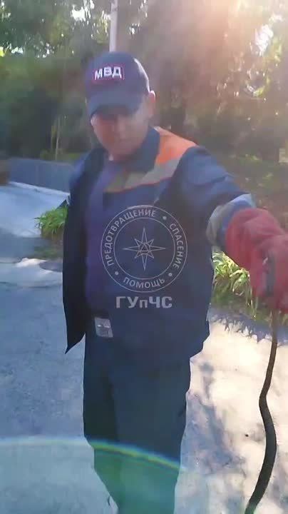 «Шипит…» — уж заполз на участок и напугал хозяев