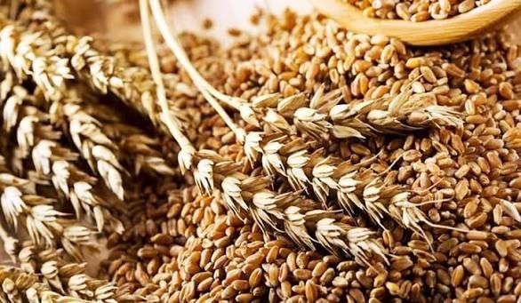 Спад экспорта зерна из-за разрушения портов может стать катастрофой для Украины, пишет FT