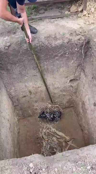 На видео — слободзейские спасатели вытаскивают собаку из трёхметровой ямы