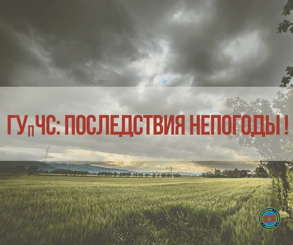 Убирали поваленные деревья и вытягивали авто: накануне спасатели выезжали на помощь