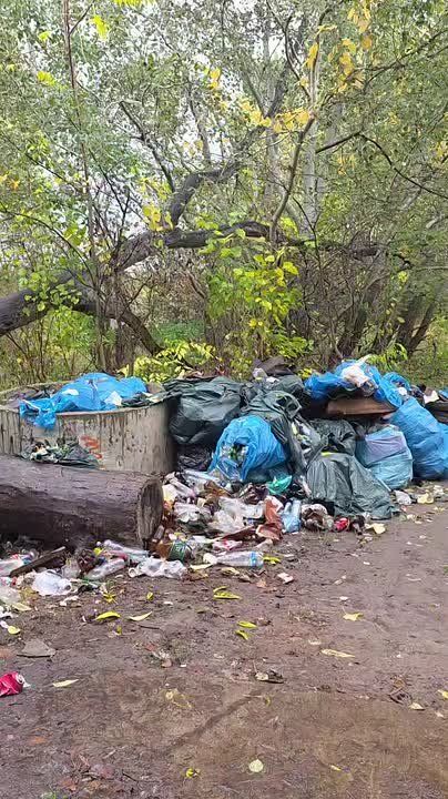 Гора мусора выросла за «Сократом»