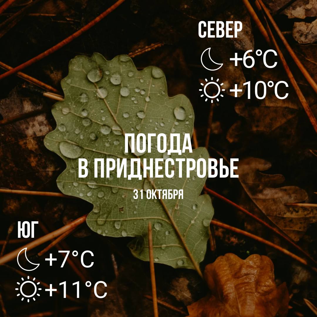Днём – до +11°, без существенных осадков